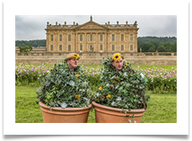 RHS Flower Show, Chatsworth - Kevin Shade